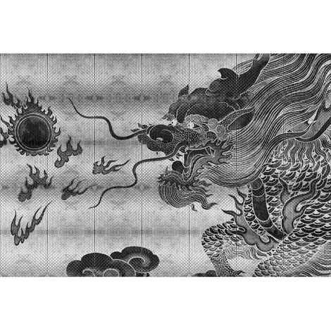 Papier peint panoramique noir & blanc pour salon Tapisserie panoramique originale motif dragon Papier peint panoramique idéal pour chambre (1/2)