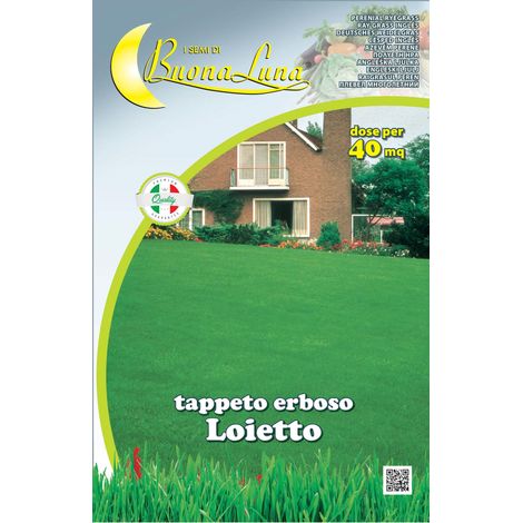 SEMI PRATO LOIETTO 1 KG- HORTUS SEMENTI- 1,0 pz
