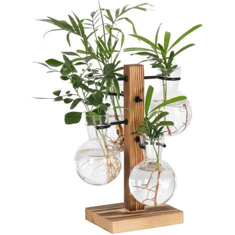 BUNTHAUS Kit de terrariums pour plantes, support de pot de fleurs hydroponiques de bureau, station de propagation de plantes avec 4 vases en verre et support en bois massif, cadeau de jardinage pour (1/5)