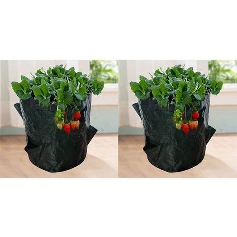 Sacs de Culture pour Fraise, 2PCS 18L/5 Gallons Sac de Legumes, Tissu Non-tissé Sac de Plantation avec Fenêtre, Sac de Legumes de Jardin (23X28CM (4 ports)) (1/5)