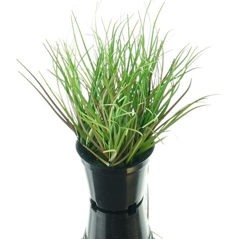 GASPER Gras Grün S im schwarzen Topf Ø 8 cm - Kunstpflanzen