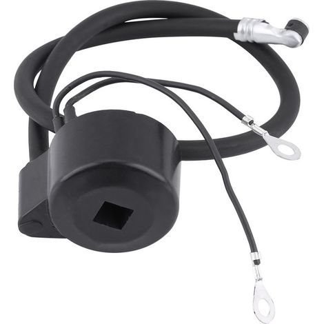 Bobina de encendido negra para motor, número de pieza 29632, según especificaciones del fabricante original (OEM) para motores de la serie VM H. (1/5)