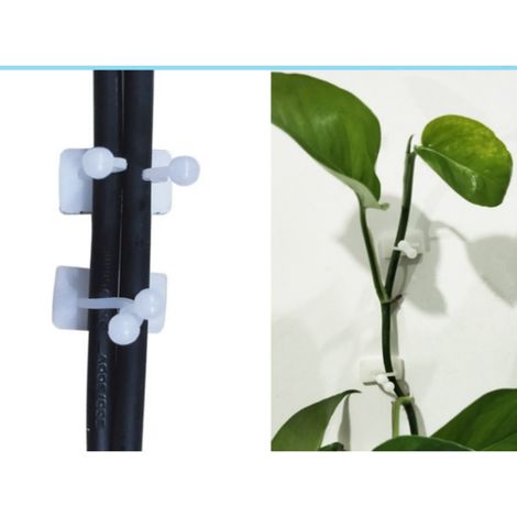 Lot de 10 grandes pinces pour plantes grimpantes (1/3)