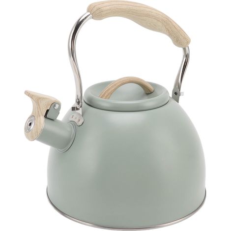 Théière sifflante 3L, vert clair, fond plat, en acier inoxydable, poignée en plastique technique, pour la maison (1/5)