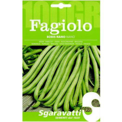 SEMI PER FAGIOLI fagiolo bobis bianco - gr 100