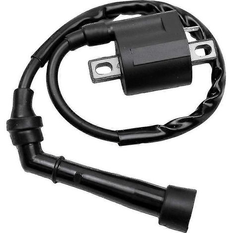 Zündspule für Yamaha Grizzly 660 YFM660 350 02-08 Bear Tracker Hwy