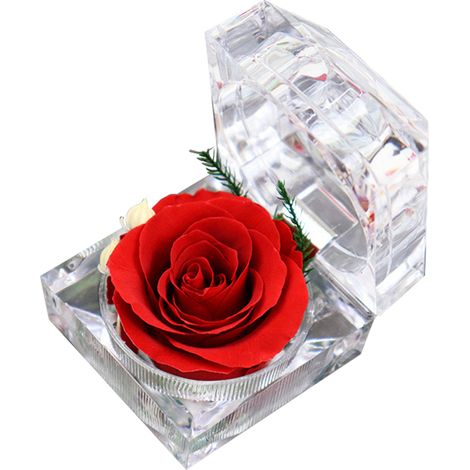Rose Préservée - Boîte Anneau Transparente en Acrylique - Cadeau pour Anniversaire, Saint-Valentin, Noël ou Anniversaire de Mariage - 1 Pièce (1/5)
