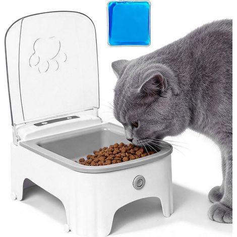 Distributeur automatique de nourriture pour chats : Mangeoire automatique programmable — Distributeur de nourriture sèche pour animaux de petite à moyenne taille