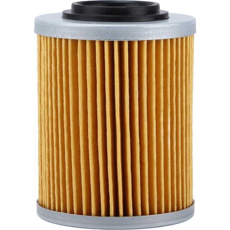 Ortviai Filtre à Huile pour ATV Odes LZ800 et RM800 – Protection moteur, haute performance (1/5)