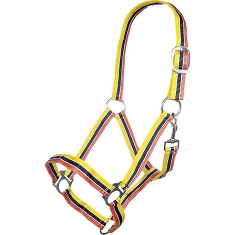 Pony, Schwarz / Hellgrün / Rot 8526: Nylonmopp Modell Genf (1/4)