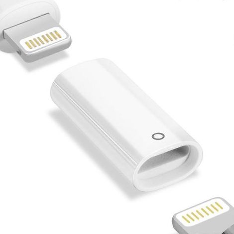 Adaptateur de charge Lightning 8 broches pour iPad Pro avec rallonge de connecteur femelle-femelle (1/5)