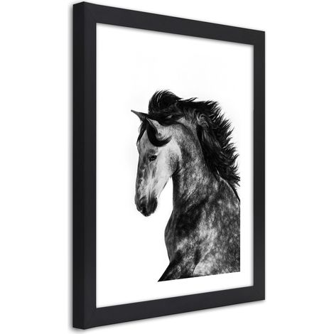 Quadro con cornice, Cavallo selvaggio - 40x60 (1/5)