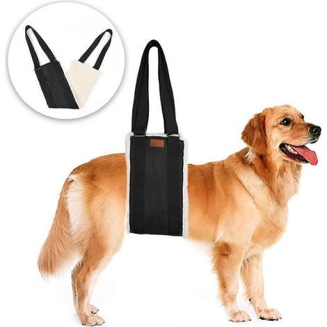 Ceinture d'aide à la marche pour animaux de compagnie Wabjtam, corde d'aide à la marche pour chiens, ceinture d'aide à la marche pour personnes handicapées (1/4)