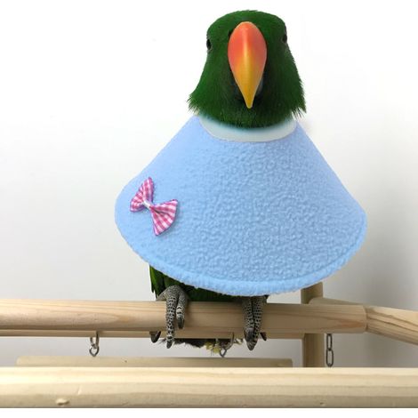 Vogelmantel Papageienschutzkragen Halskrause Genesungshalsband Vögel