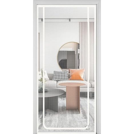 pour animaux de compagnie Porte moustiquaire lgre pour (1/5)