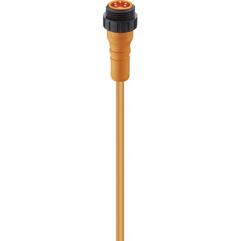 Lumberg Automation 11574 Sensor-/Aktor-Steckverbinder, konfektioniert 7/8" Stecker, gerade 2.00 m Po