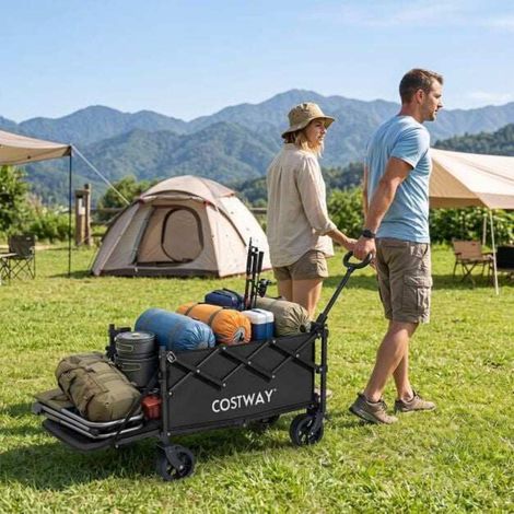 Pour campeurs et courses, chariot pliable facile Ă ranger avec roues tout-terrain, charge 150 kg, noir (1/5)