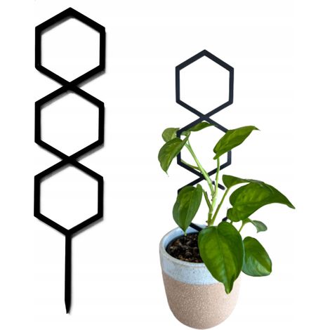 Soporte para plantas trepadoras. Soporte para flores trepadoras. Escalera para pérgola M 31 cm (1/5)