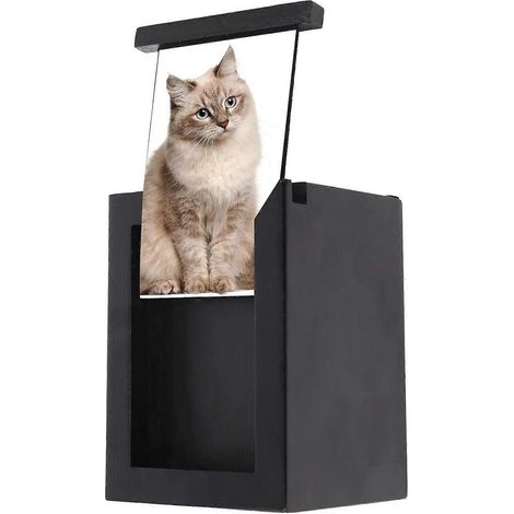 Urne funéraire en bois pour animaux de compagnie avec cadre photo, boîte commémorative avec cadre photo, pour chats (1/5)