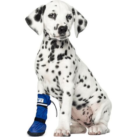 Bottes médicales pour animaux de compagnie - bottes de protection imperméables, taille : L (courtes)