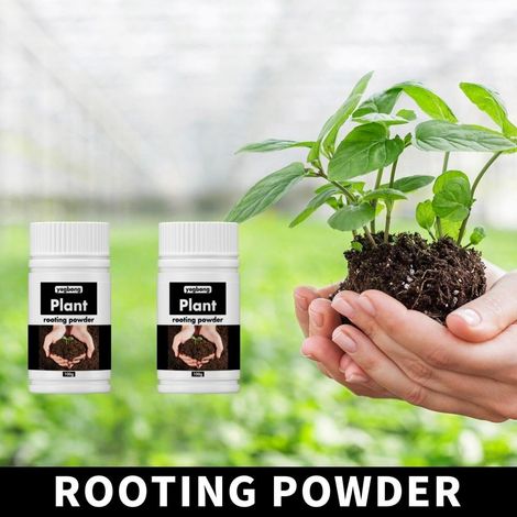 FLAMMKRAFT-2 bouteilles de poudre universelle d'enracinement rapide pour plantes et fleurs – pour boutures et semis Poudre nutritionnelle– 100 g (1/5)