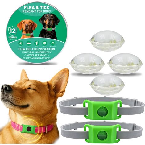 Collare Antipulci per Cani, Collare per Cani Regolabile, Pendente Repellente per Oli Essenziali con 2 Capsule Sostituibili, Impermeabile, Resistente (1/5)