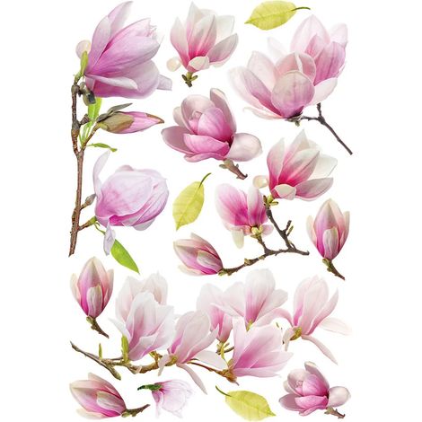 Sticker mural Sanders & Sanders, fleur, rose, 42,5 x 65 cm (1/2)