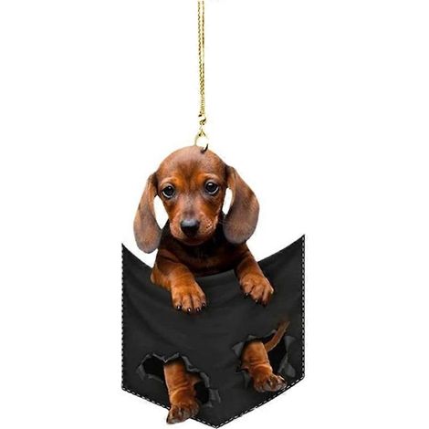 Décoration intérieure de voiture, rétroviseur suspendu, jouet pour chiot ou chat, cadeau, ornement (1/5)