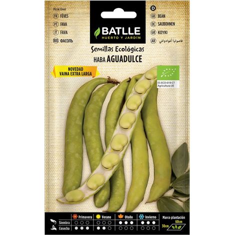 Graines de haricots verts Superaguadulce
