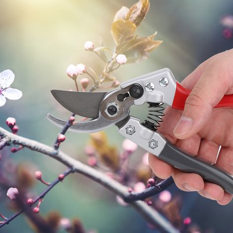 Ciseaux de taille pour plantes de jardin, arbres et branches, sécateur manuel, accessoires (1/5)