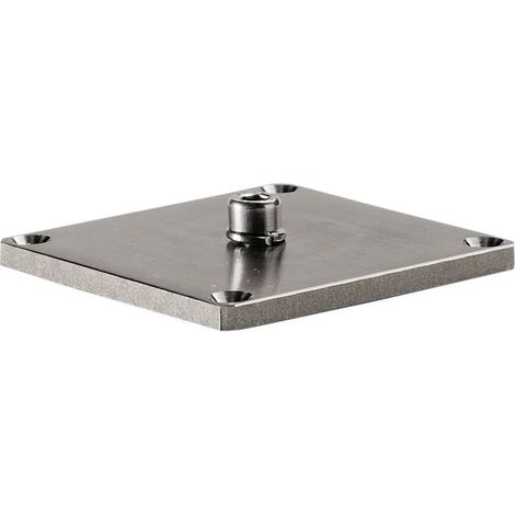 Extérieur Plaque de montage inox 316 inox - SLV - 233582