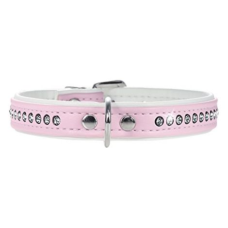 Hunter - collana di cani, sint & skin eacute, luminoso (1/3)