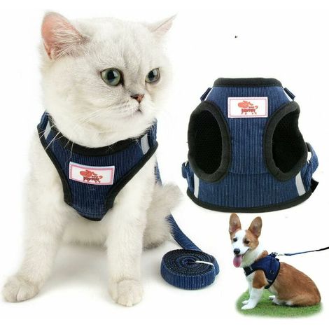 Harnais et laisse pour chat, incassable, réglable, réfléchissant, maille douce, rembourré, pour chats, chatons, chiots, petits chiens, (bleu) (1/5)