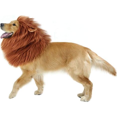Costume da criniera di leone per cani, parrucca per cani di grossa taglia, vestiti eleganti con orecchie