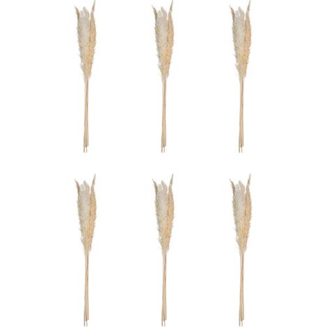 Atmosphera – Lot de 6 fleurs séchées 'Pampa' 66 cm – Plantes séchées naturelles – Décoration intérieure élégante – Longueur 66,5 cm (1/3)