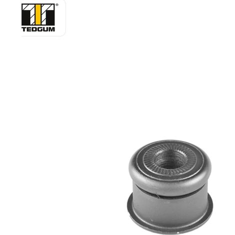 Suspension, corps de l'essieu Tedgum 00053280 AUDI 2-22-000316-01 441 505 203