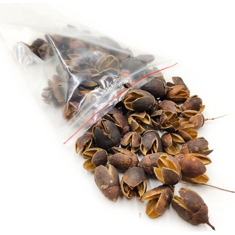 Bakuli Natural - fruta deshidratada exótica - 100 g (1/4)