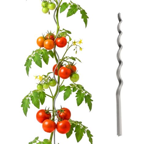 Relaxdays Asta a spirale per pomodori, set da 20, altezza 150 cm, Ø 5 mm, metallo zincato, supporto piante, argento
