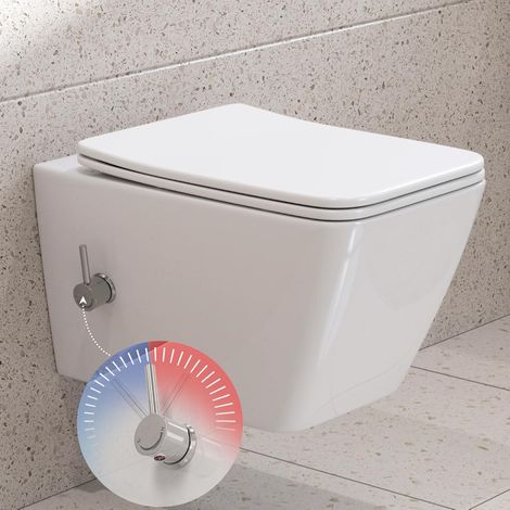 Spülrandlos Dusch WC Taharet WC Kalt/Warm Wasser Randlos Toilette mit Bidet-Funktion mit Softclose Sitz HOROW