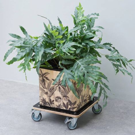 Nature Chariot a plantes carré 38x38 cm noir bois 446407 (1/3)
