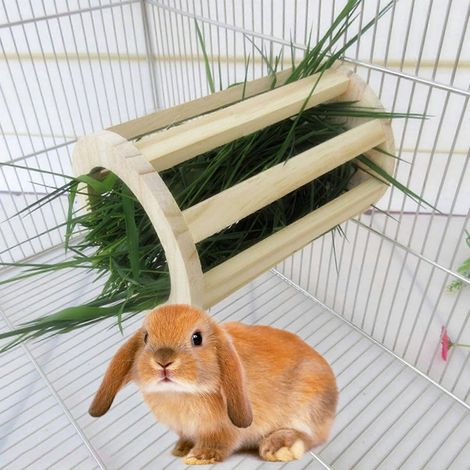 Support à herbe pour cochons d'Inde, petits animaux de compagnie, chinchillas, étagère résistante aux morsures (1/4)
