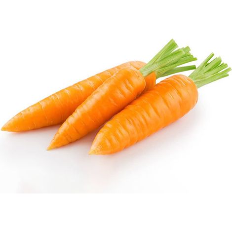 Semi di carota "Chantenay royal 2 " piante per orto e giardino