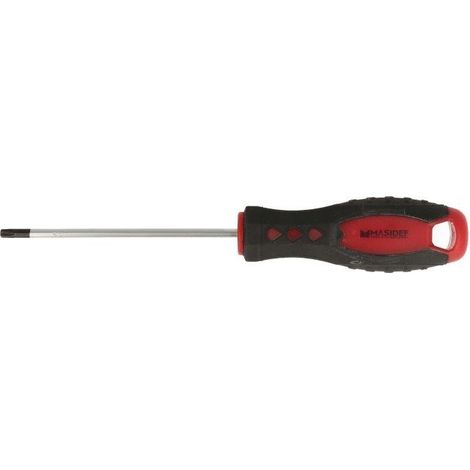 Giravite torx t25 lama 100mm acciaio s2 (1/3)