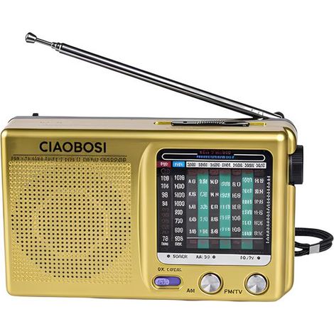 Radio portable - AVIZAR - Mini - AM/FM - 2×AA - Haut-parleur puissant (1/4)