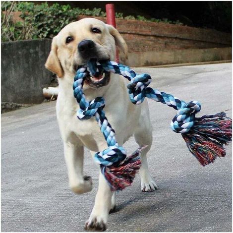 Jouets en corde adaptés aux chiens plus grands et plus forts qui aiment mâcher jouets d’entraînement à la traction en corde résistants, conçus spécifiquement pour les chiens qui aiment mâcher. (1/5)