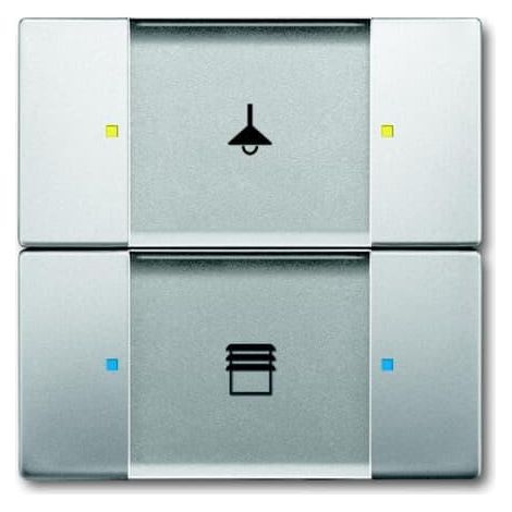 Poussoir 2 TouchesMultifonctions Acier Inox 2CKA006116A0213 ABB 587252