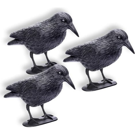 Set de 10 piques anti-pigeons en plastique avec tiges et pieds, dissuasion efficace pour oiseaux, barrière de protection pour balcon, toit et jardin, résistant aux intempéries. (1/5)