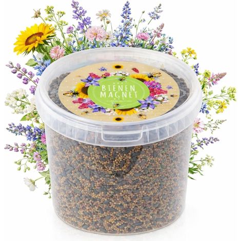 1 kg de graines de prairie colorées pour un pâturage fleuri - sauvages multicolores & riches en nectar pour abeilles & papillons (ebook GRATUIT inclus) (1/5)