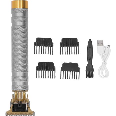 Tondeuse à cheveux professionnelle pour hommes - Kit de toilettage avec lame en T rechargeable par USB (argent métallisé) (1/5)