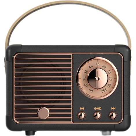 AGE Haut - parleurs Bluetooth plus anciens, volume élevé, connexion sans fil Bluetooth 5.0, support de carte TF, lecteur flash USB et entrée audio aux (noir) (1/5)